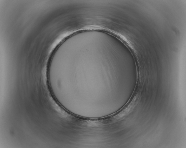 X0000112771422200909101541