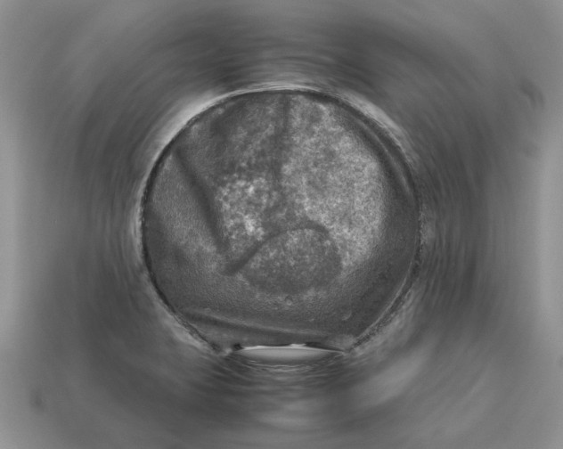 X0000112771423200909101541