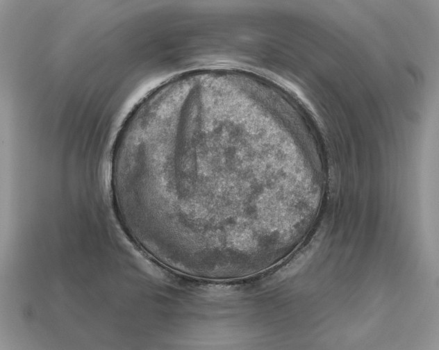 X0000112771424200909101541