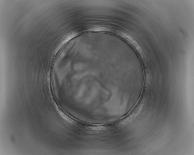 X0000112771425200909101541