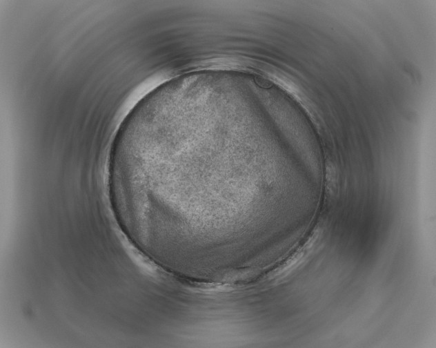 X0000112771426200909101541