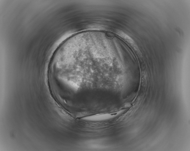 X0000112771427200909101541