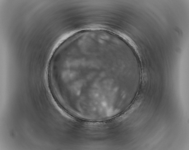 X0000112771429200909101541