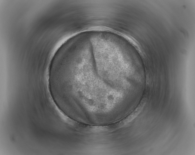 X0000112771430200909101541