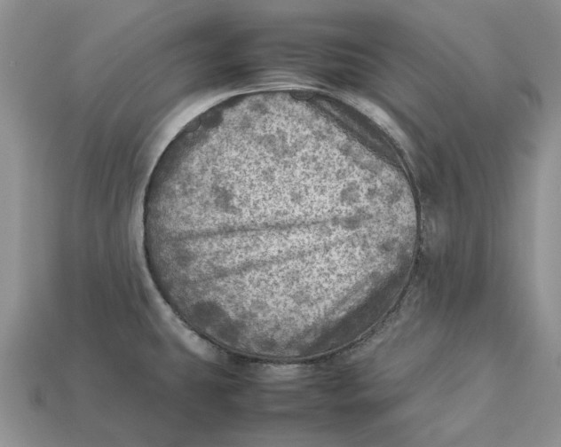 X0000112771431200909101541