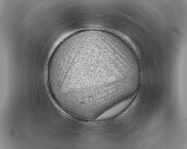 X0000112771432200909101541