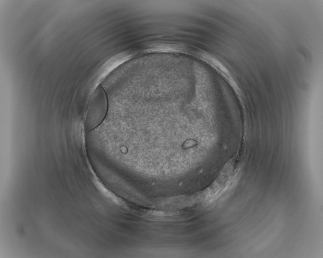 X0000112771433200909101541