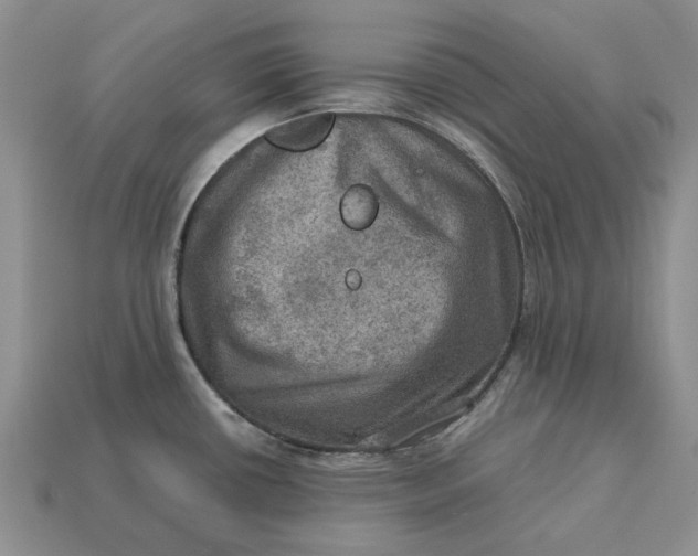 X0000112771434200909101541