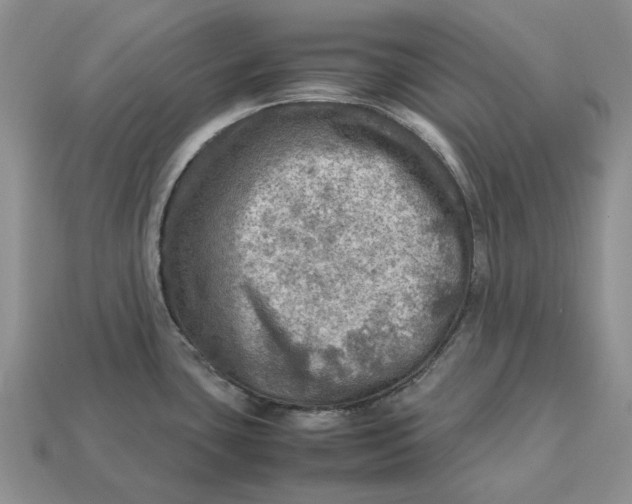 X0000112771435200909101541