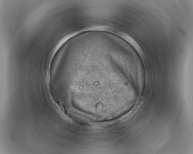 X0000112771436200909101541