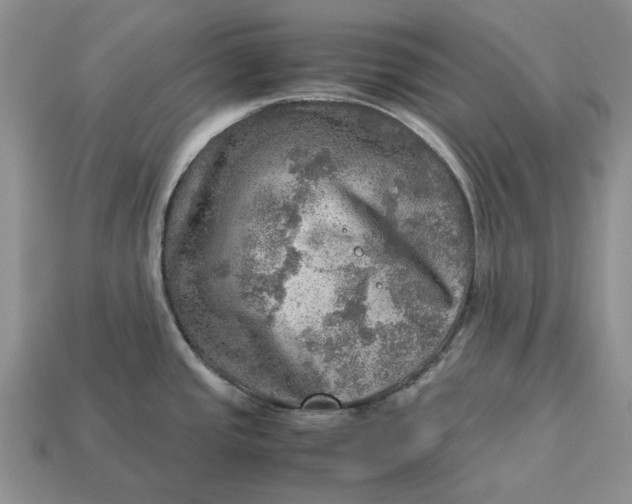 X0000112771437200909101541