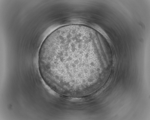 X0000112771439200909101541