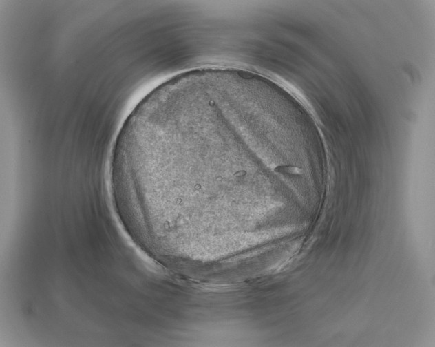 X0000112771440200909101541