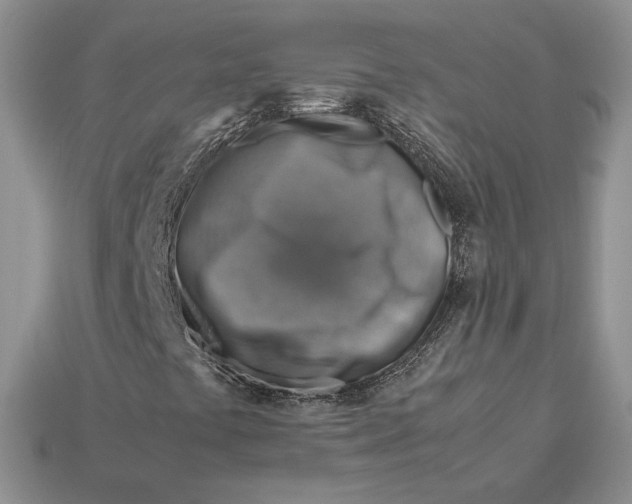 X0000112771441200909101541