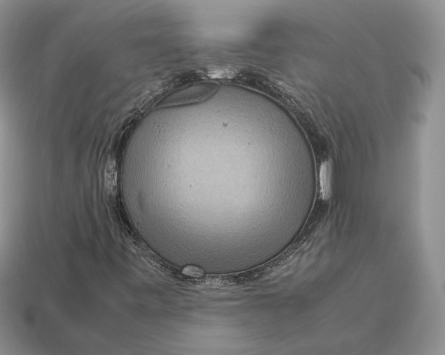 X0000112771443200909101541