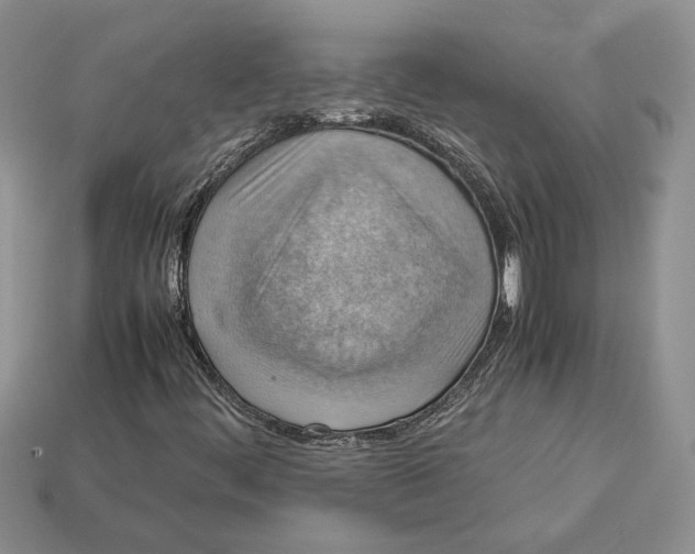 X0000112771444200909101541