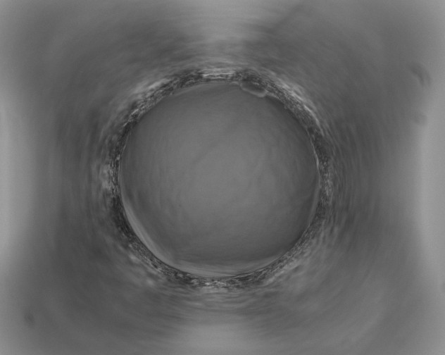 X0000112771445200909101541