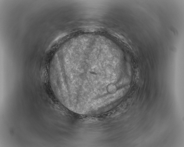 X0000112771446200909101541