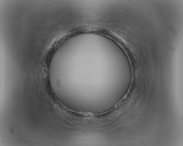 X0000112771447200909101541