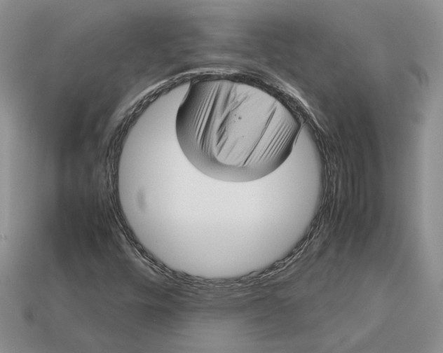 X0000112771448200909101541