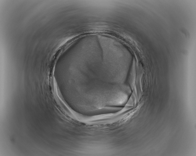 X0000112771449200909101541