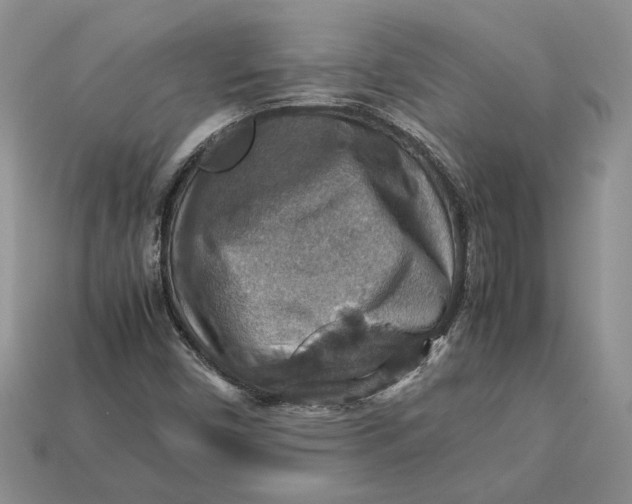 X0000112771450200909101541