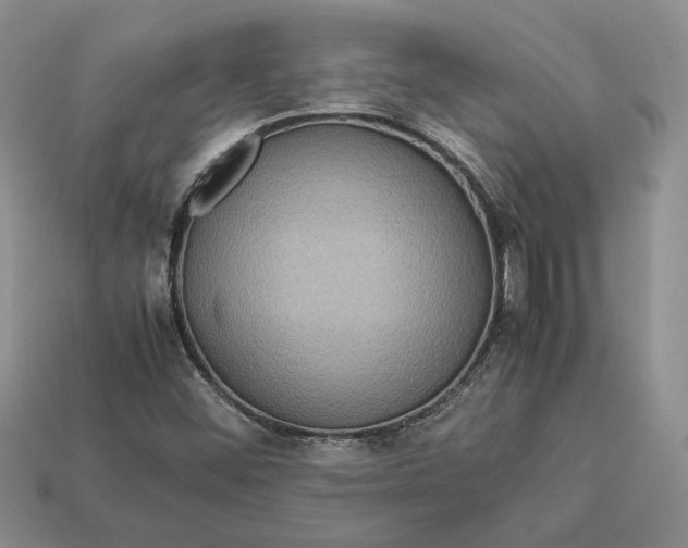 X0000112771452200909101541