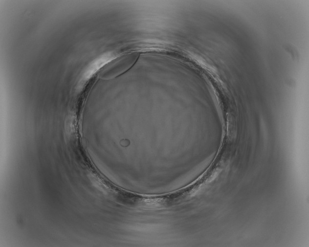 X0000112771453200909101541