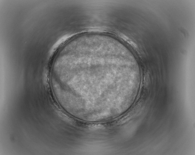 X0000112771454200909101541