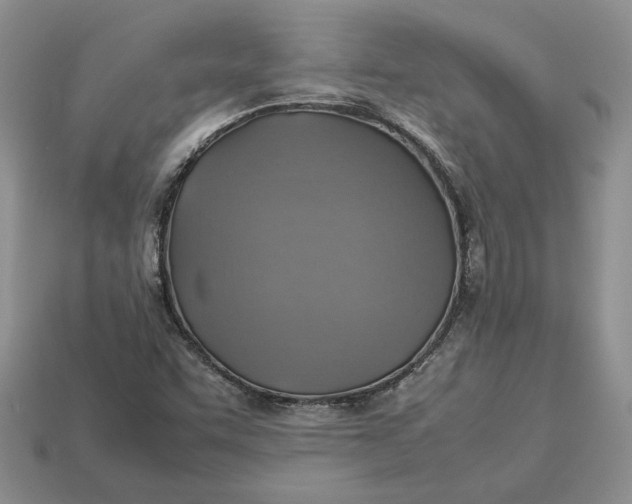 X0000112771455200909101541