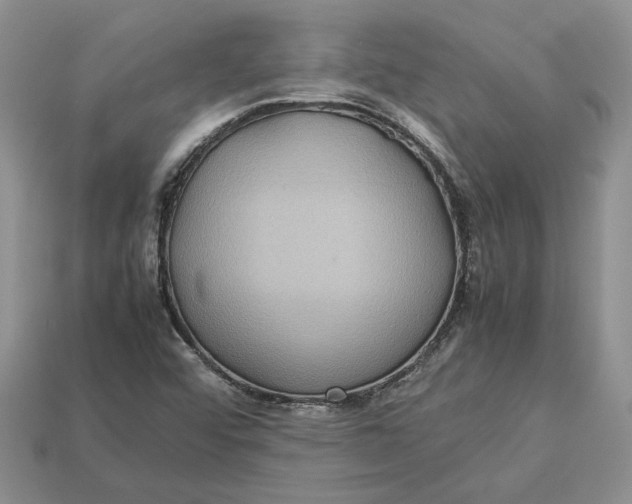 X0000112771456200909101541