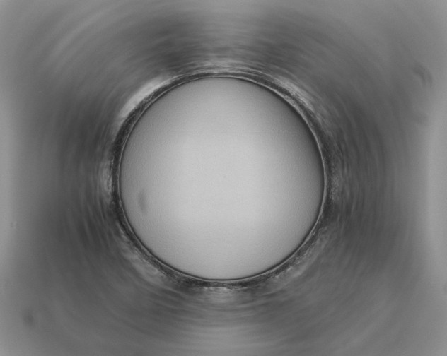 X0000112771458200909101541