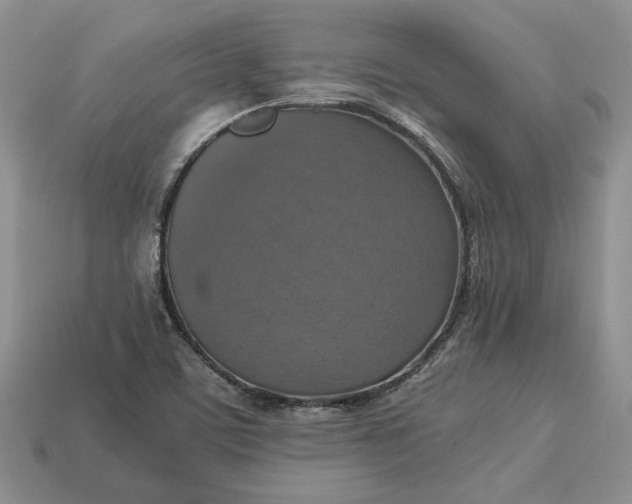 X0000112771459200909101541