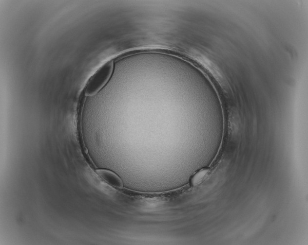 X0000112771460200909101541