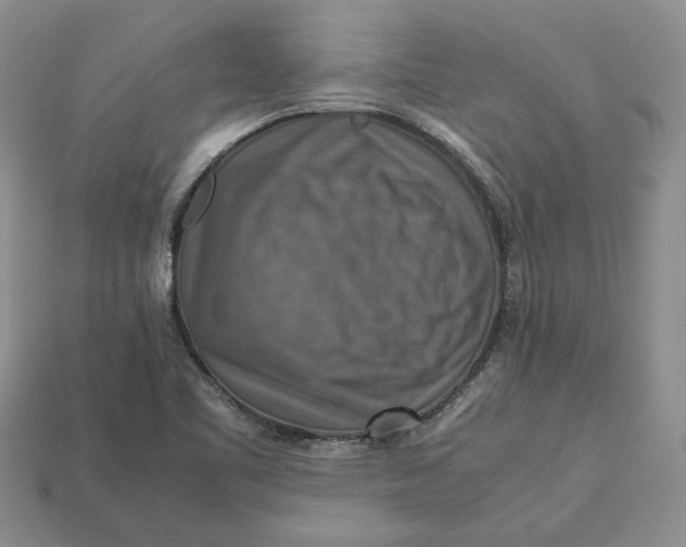 X0000112771461200909101541