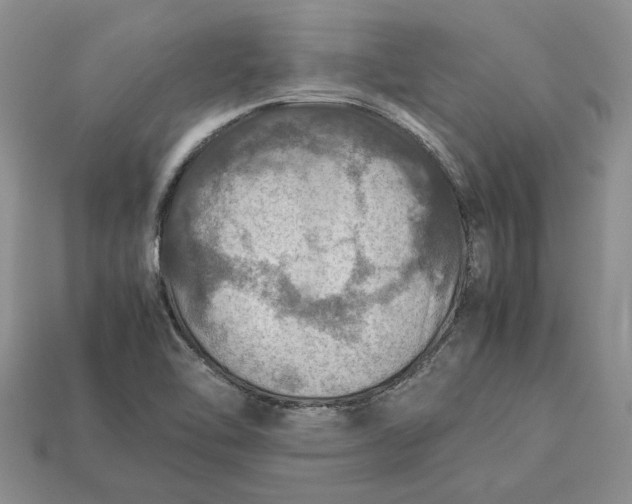 X0000112771462200909101541