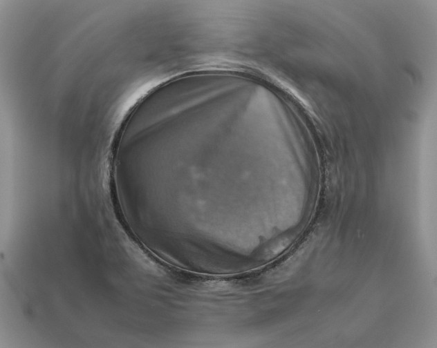 X0000112771463200909101541