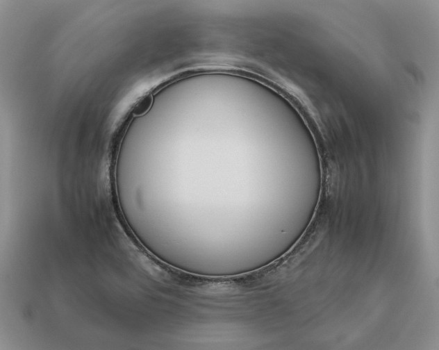 X0000112771464200909101541