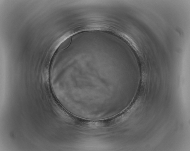 X0000112771465200909101541