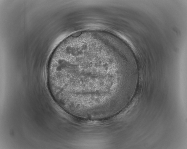 X0000112771467200909101540