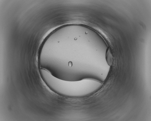 X0000112771468200909101540