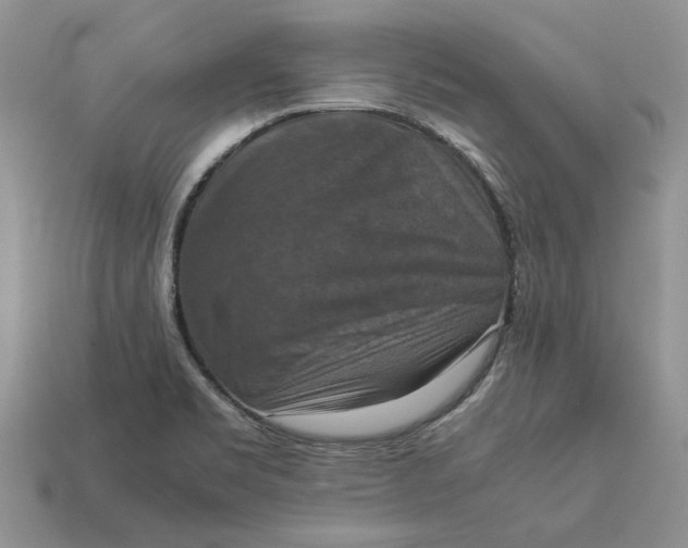 X0000112771469200909101540