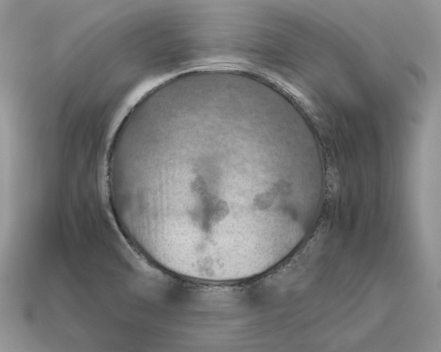 X0000112771470200909101540