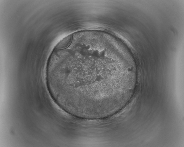 X0000112771471200909101540