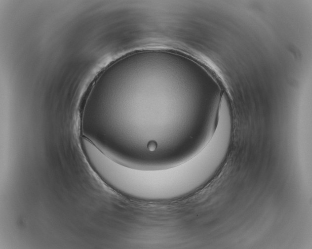 X0000112771472200909101540