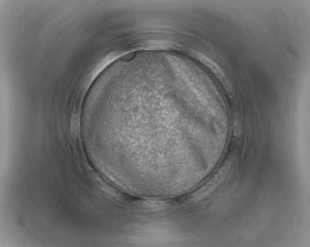 X0000112771473200909101540