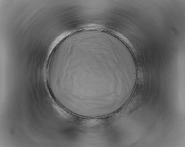 X0000112771474200909101540