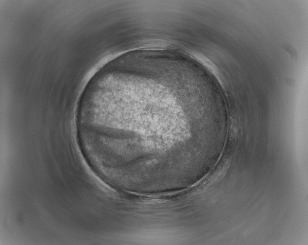 X0000112771475200909101540