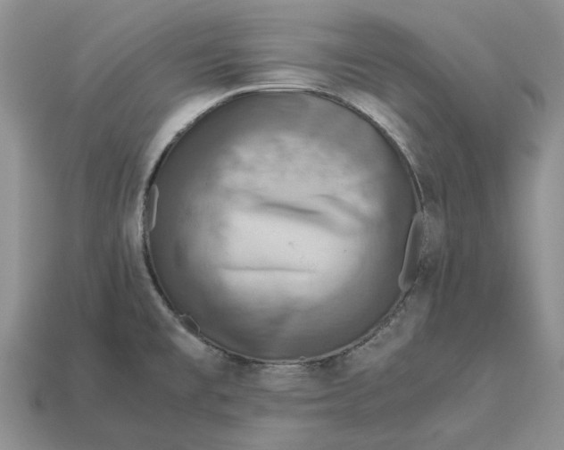 X0000112771477200909101540