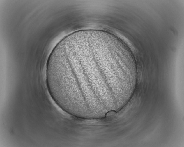 X0000112771479200909101540